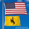 Wyoming Cowboys 2x3 Foot Flag