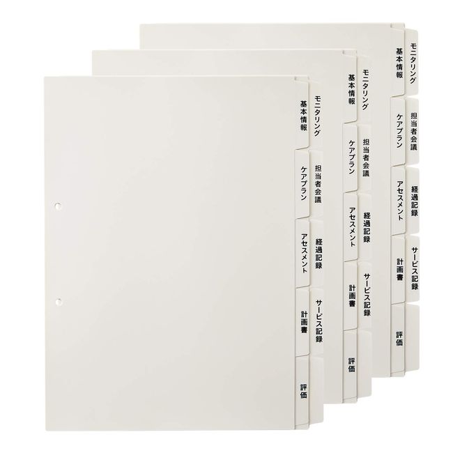 Plus Nursing Care Index 5 x 2, A4, 2 Holes, For User Medical Records, 98-078 x 3 Sets