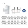PVC Tee 1PCS(2 Inch)