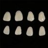 Angzhili Veneer Dental Materials Teeth Whitening Dental Supplies Ultra Thin Dental Resin Beauty Teeth Protection Top Teeth A1/A2 (A2)