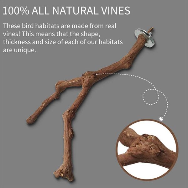 Natural Grape Wood Bird Perching Stick - Split