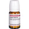 DHU Lobelia inflata D4 Tabletten, 80 St. Tabletten