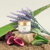 SIA BOTANICS Rescue Cream, 2.3 OZ