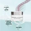 Sheida Mineral Ultimate Collagen Cream