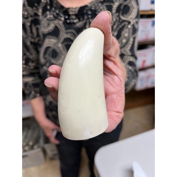 blank Sperm Whale replica tooth ready to scrimshaw #00