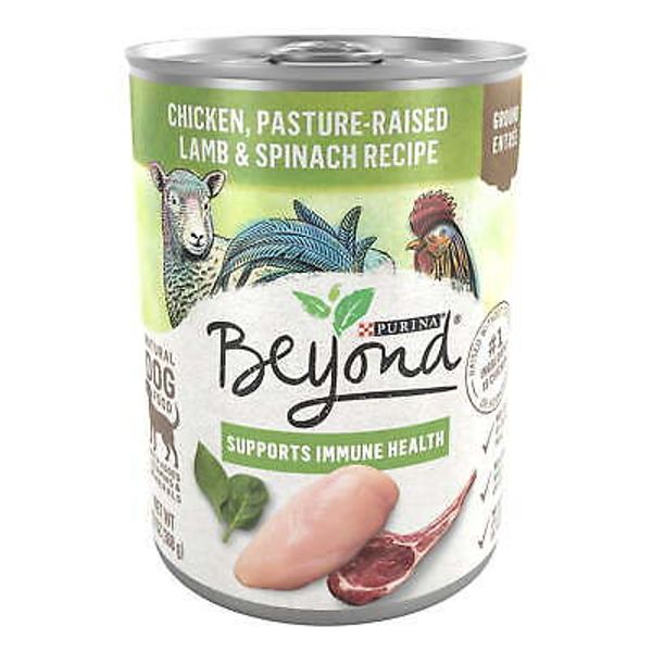 Beyond Support Immune Health Wet Dog Food Chicken Lamb Spinach 13Oz Cans 12 Pack