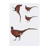 4 x 'Pheasant' Temporary Tattoos (TO00033209)