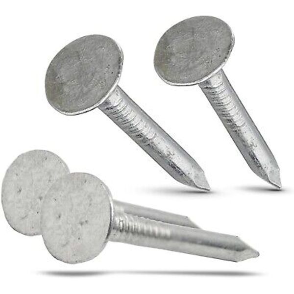 Roofing Nails Galvanized Steel Flat Wide Head (100-Pack, 1 Inch, Silver) 42041