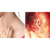 Goldenseal Extract - ANTI-PARASITE COMPLEX - Colon Cleanse Detox - 2 Bottles