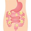 Nexabiotic Probiotic 60 Count Delayed Release Capsules For Gut Health