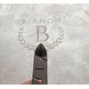 Bianco Instruments 4.75” Dbl Spring Toe Nail Clippers SS Made In USA W/case