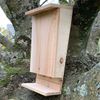 Selections Wooden Bat Box with Landing Perch