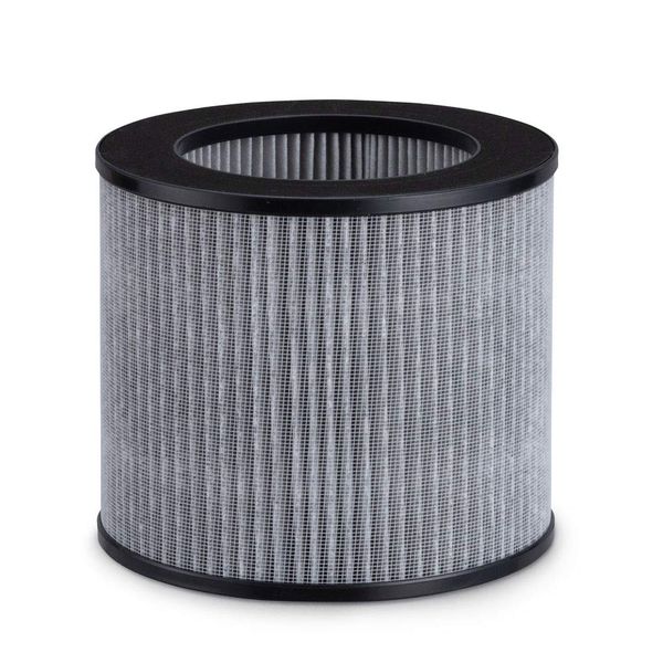 Iris Ohyama IAP-A25FL Air Purifier Filter, 10 Tatami Mat