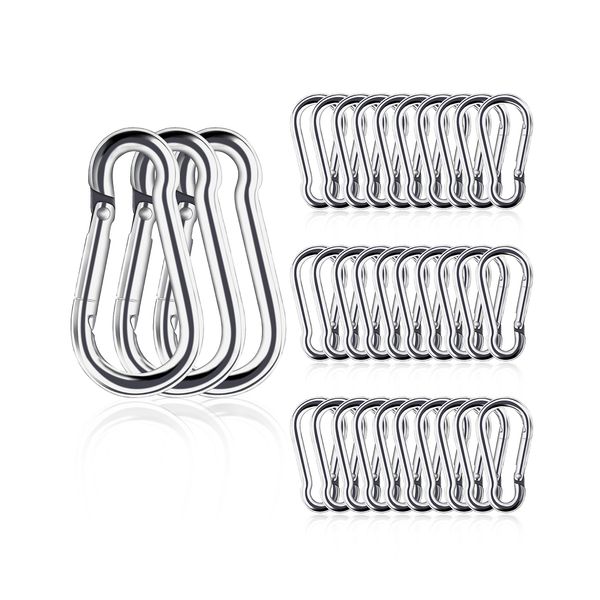 Small Carabiner Ciip, 30pcs 1.57inch Mini Carabiners Clips, M4 Stainless Steel Spring Snap Hook Heavy Duty, Locking Carribenares for Climbing Hiking Camping Fishing