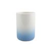MSV Glas Bad, Blau, 0