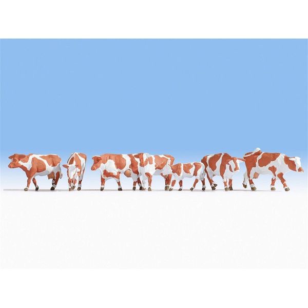 Noch 15726 Cows, brown-white Coloured