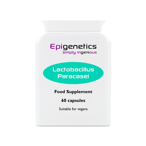 Lactobacillus Paracasei | 5 Billion CFU Probiotic + Jerusalem Artichoke Prebiotic (Inulin) | 60 Vegan Delayed Release Capsules UK Made | 2 Month Supply