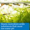 API pH UP Freshwater Aquarium Water pH Raising Solution for fish,4-Ounce Bottle