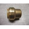 SharkBite 1 In. Push-to-Connect Brass End Push Cap | U520LFA