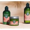L'Occitane Intensive Repair Hair Mask