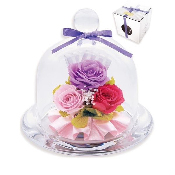 liLYS épice gp1pr Preserved Flower Gift Rose Present Elegant Purple