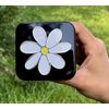 Trailer Hitch Cover Plug Insert (Fits 1.25" Receivers, White Chamomile Flower)