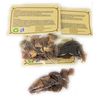 Cuachalalate Hierba/Tea (10.6 Grms.) Pack of 3