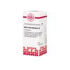 DHU Rhus toxicodendron C9 Streukügelchen, 10 g Globuli