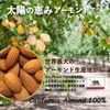 Almond Poodle 7.1 oz (200 g) (1 bag)
