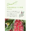 Argital Niaouli Cream 75 ml
