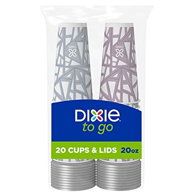 Dixie Ultra Paper Plates, 10 1/16, 20 count, Dinner Size Printed  Disposable Plates (Pack of 2)