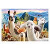 Puzzle 1000 pièces : Selfie de Lamas