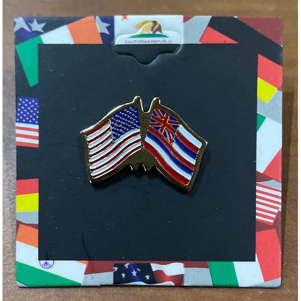 Hawaii-US Double Lapel Pin Enamel Lapel Pin