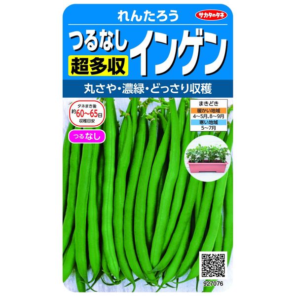 Sakata no Seeds, Real Bloom Vegetables 7076 No Vine Super Multi-yield Green Beans, Rentaro