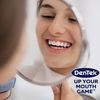 DenTek Triple Clean Floss Picks 150 ea