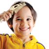 Genuine Fred BONEHEAD Folding Brush and Comb, Fun Dinosaur Design, Hair Care Tool and Detangling Comb, Convenient for Travel and Diaper Bags, Fun Gift or Stocking Stuffer