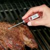 Escali Gourmet Digital Thermometer | Red