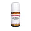 DHU Zincum sulfuricum D12 Tabletten, 80 St. Tabletten