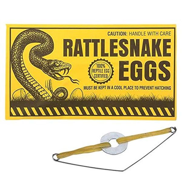 Rhode Island Novelty Joke Rattlesnake Egg Envelopes, One Dozen per Order