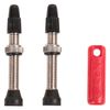 ZEFAL Tubeless Valves Pair, Silver/Black, 45mm