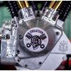 Sexy Hot Aluminum Skull Evo Evolution Points Timing Cover for Harley Davidson