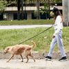 [zee.dog] HANDS FREE LEASH Hands-Free Leash (GOTHAM)