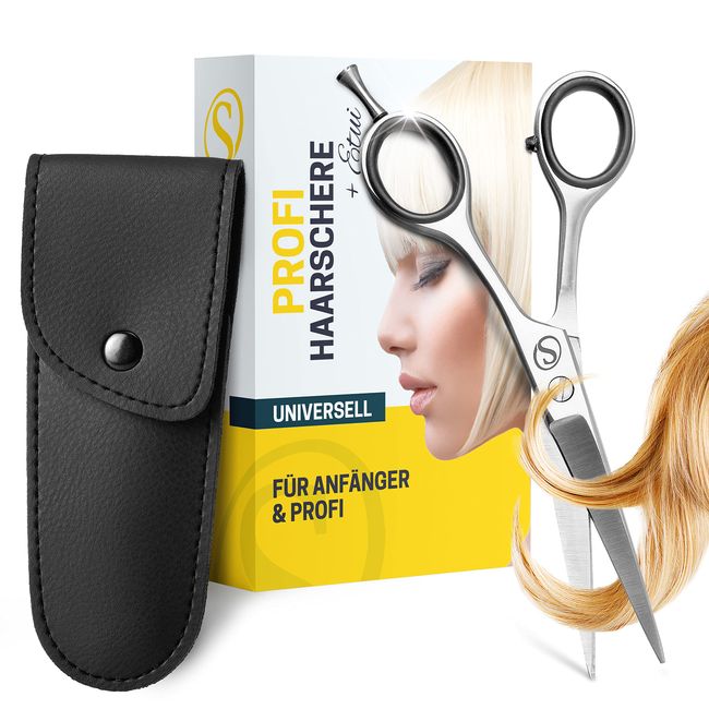 SCHMIEDWERK Haarschere | Friseurschere - scharfer & präziser Schnitt | Perfekter Haarschnitt für Damen & Herren | Profi Haarschneideschere mit Etui (Haarschere, Silber)