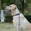 Olahibi Dog Collar and Leash Combo Set, Leopard Pattern, Polyester Material, 150CM Matching Leash, for Small Dogs.(S, Brown Leopard)