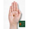 Odorless Garlic Cayenne 1150 Mg Cholesterol Triglycerides Support, 200 Softgels