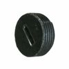 HASME Replacement N024448 Brush Cap for DeWalt DWP849 TYPE 1 DWP849X TYPE 1 DWP849X, 2-Pack-AR DWP849X-BR