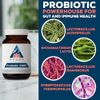 Advanced Probiotic Supplement for Gut Health 60 Count Digestive Support