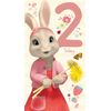 Danilo Promotions LTD Peter Rabbit Age 2 Birthday Card, 9 X 5