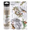 Advantus Paper, Multicoloured, Medium