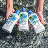 Panama Jack Sunscreen Lotion SPF 15, 6 Fl Oz